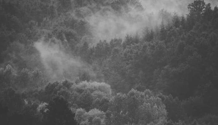 Justė Arlauskaitė-Jazzu: „Svarbu, kad ne tik buitis, bet ir būtis būtų graži“