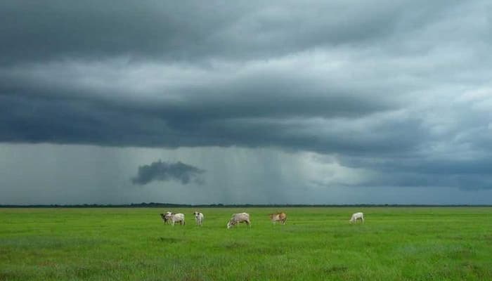 Pavasaris ir grožis – neatsiejami px
